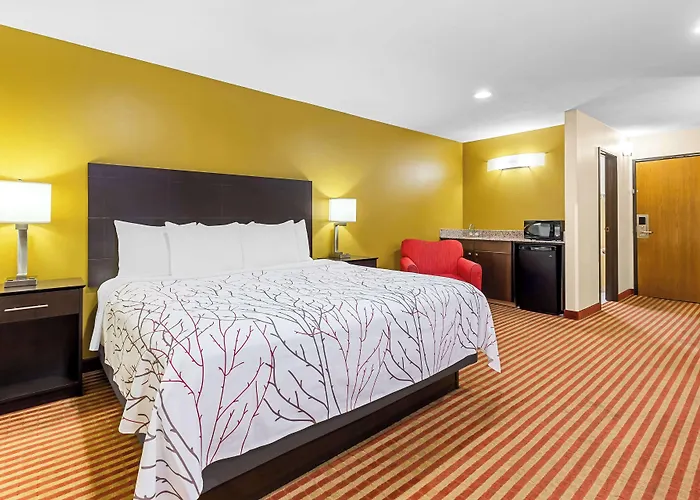 Top Jacksonville FL Hotels with Cruise Shuttles